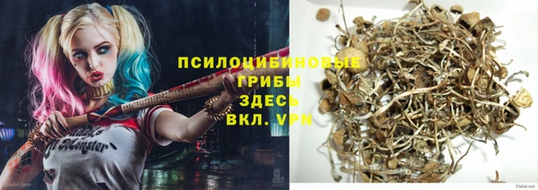 молекула духа Аркадак