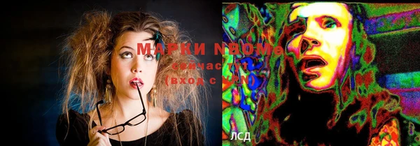 PSILOCYBIN Армянск